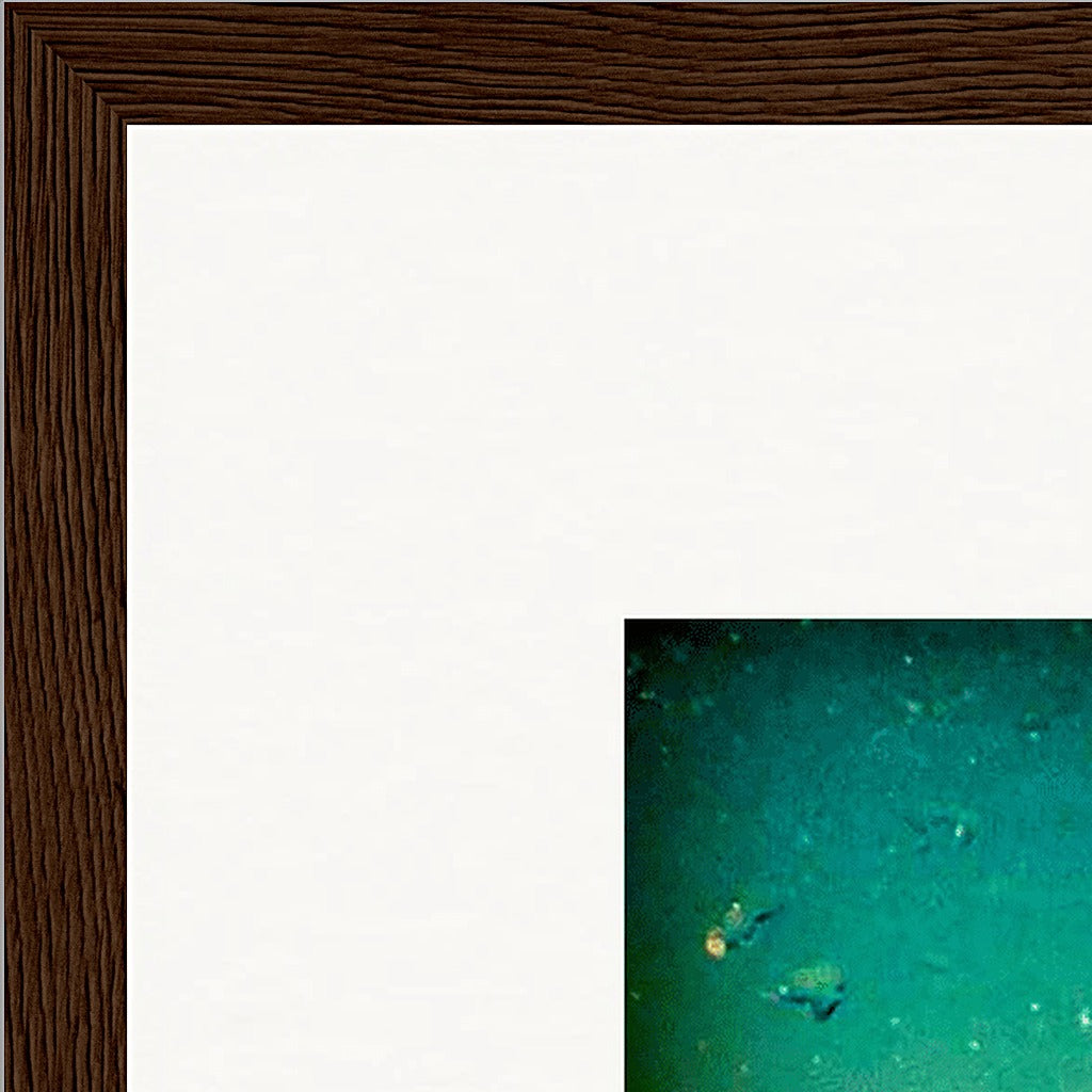 Underwater Flight Framed print 40x40 cm / 16x16″ Dark wood frame corner detail