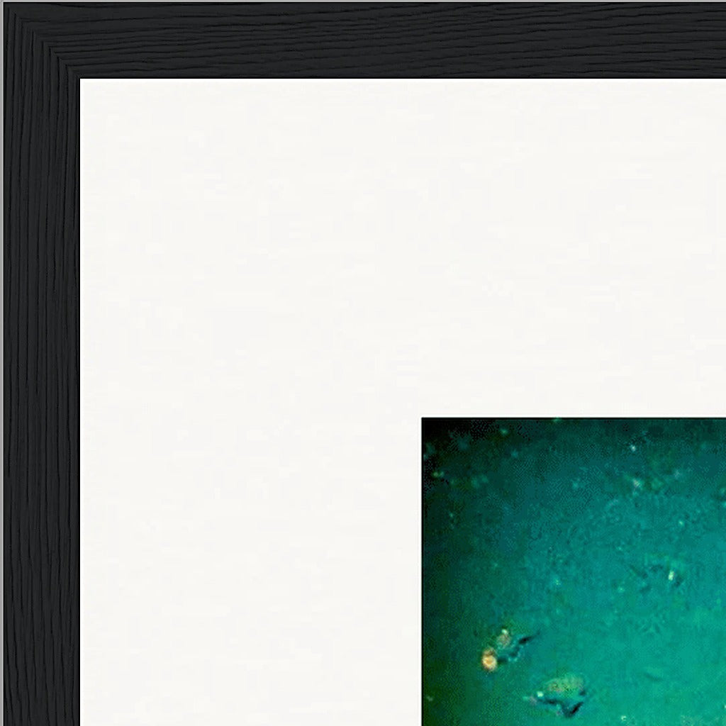 Underwater Flight Framed print 50x50 cm / 20x20″ Black frame corner detail