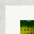 In the Eye Framed print 50x50 cm / 20x20″ White frame corner detail