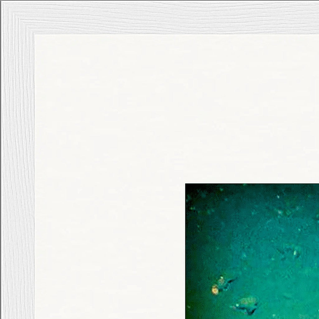 Underwater Flight Framed print 50x50 cm / 20x20″ White frame corner detail