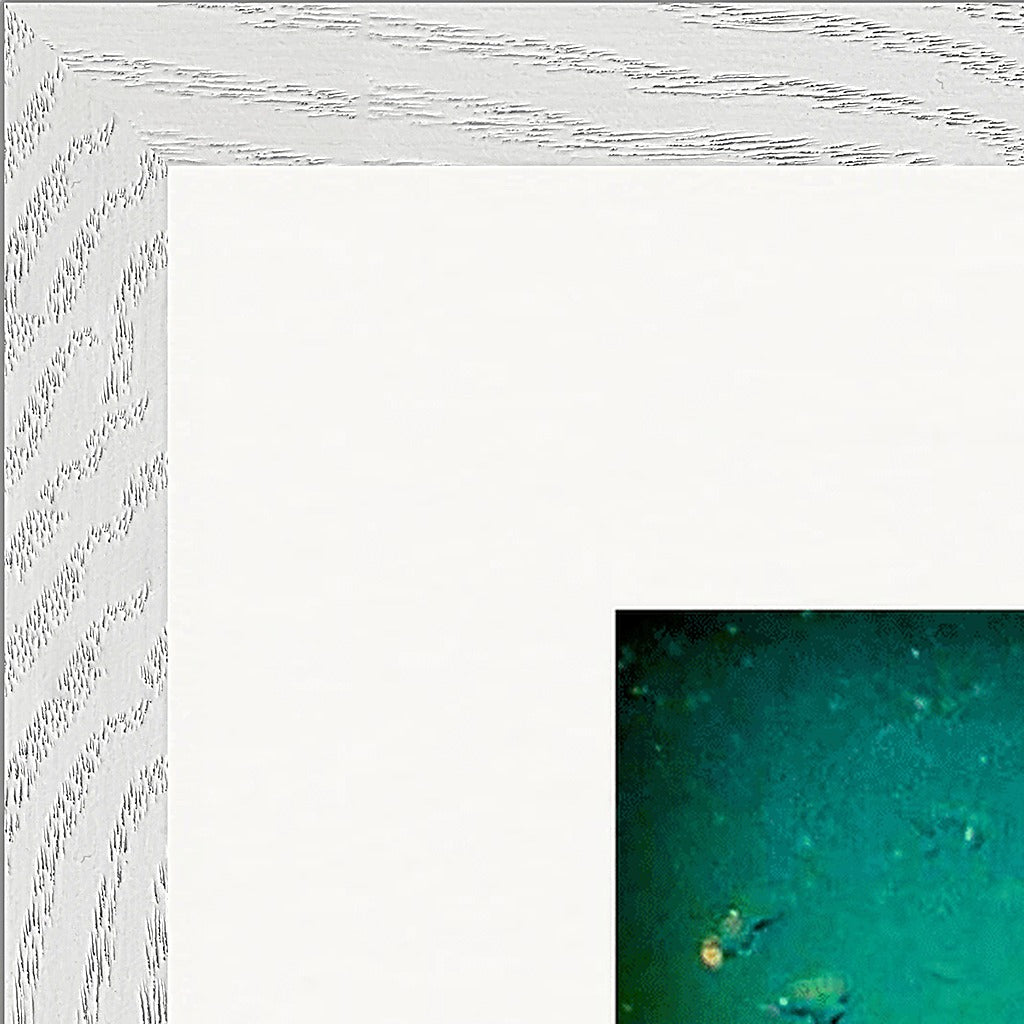 Underwater Flight Framed print 50x50 cm / 20x20″ White frame corner detail
