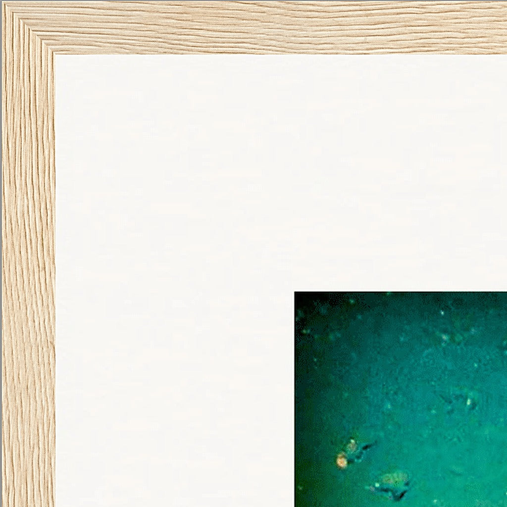 Underwater Flight Framed print 50x50 cm / 20x20″ Wood frame corner detail