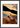 Cosmic Reflections Framed print A3 (29.7 x 42  cm) Black frame 58