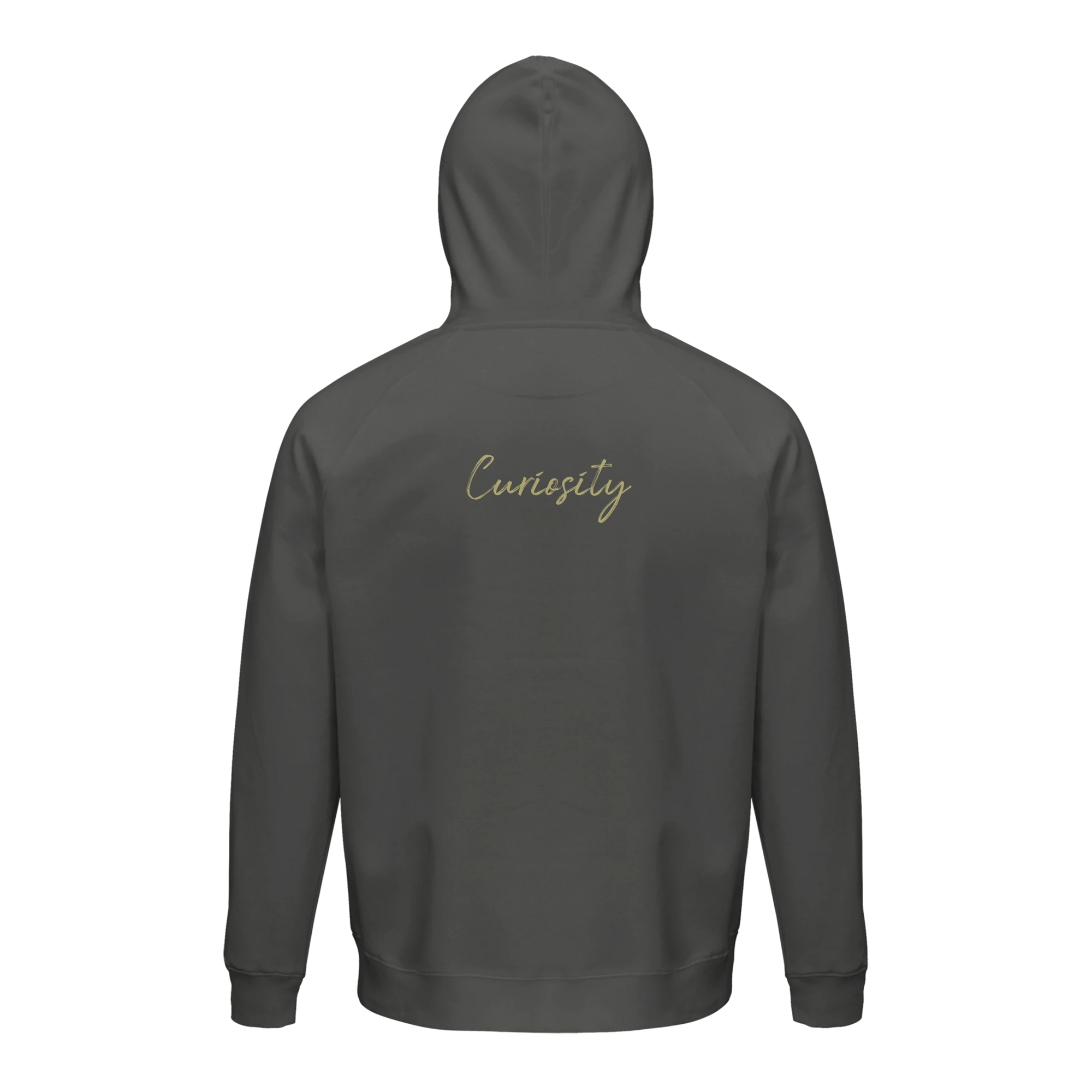 Curiosity - "On the Road" Hoodie charcoal melange XS 20