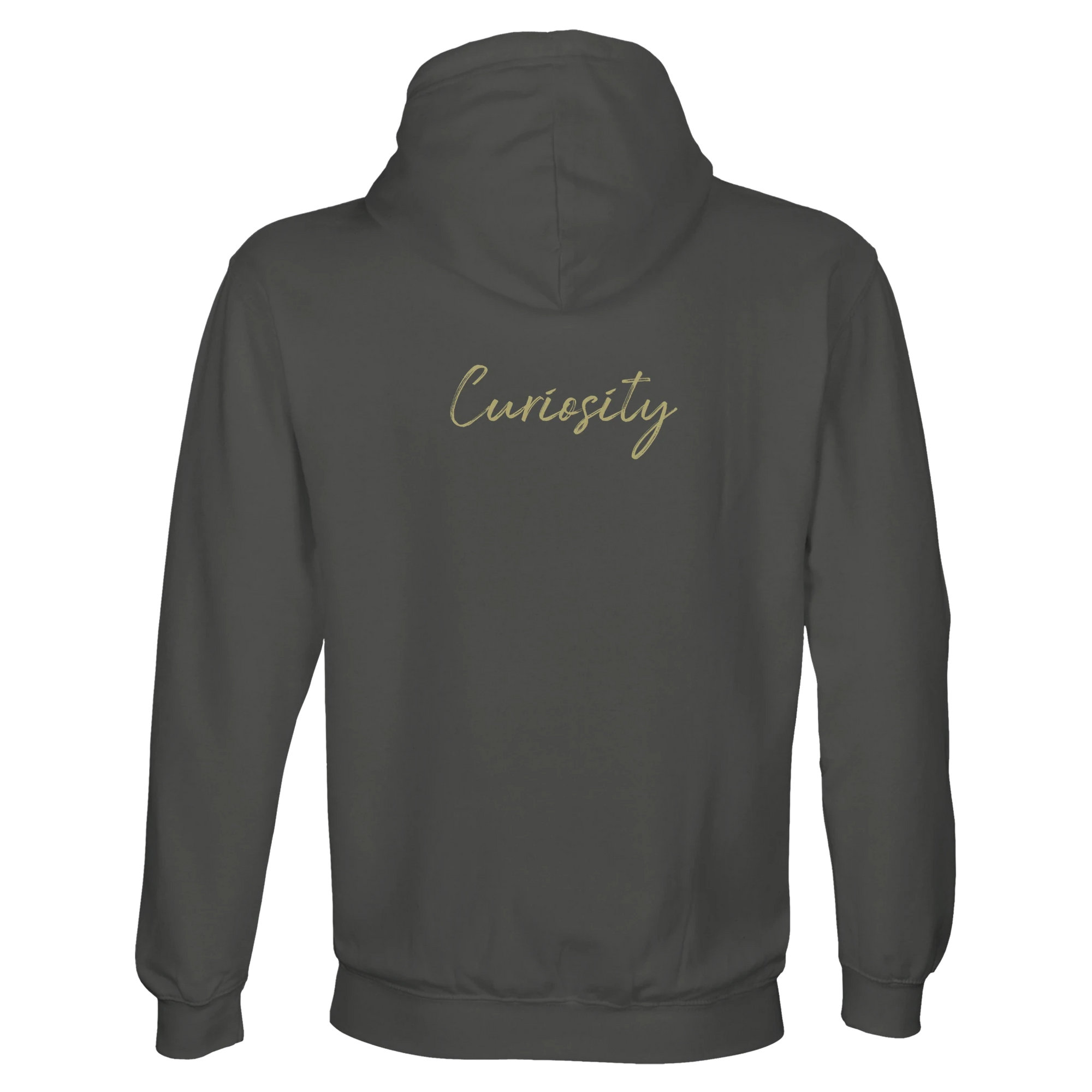 Curiosity - "On the Road" Hoodie charcoal melange XS 25