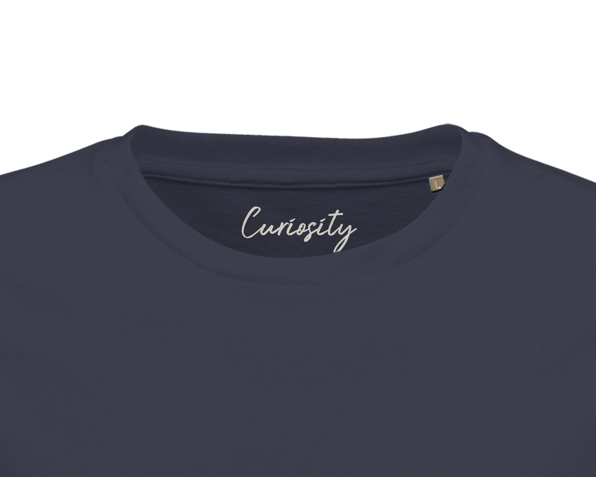 Curiosity - "On the Road" T-shirt mouse grey 2