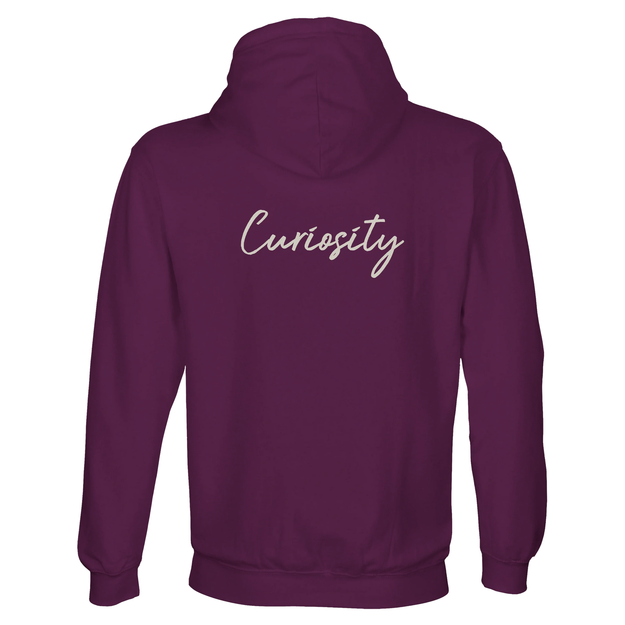 Curiosity - "On the Road" Hoodie astral purple 2