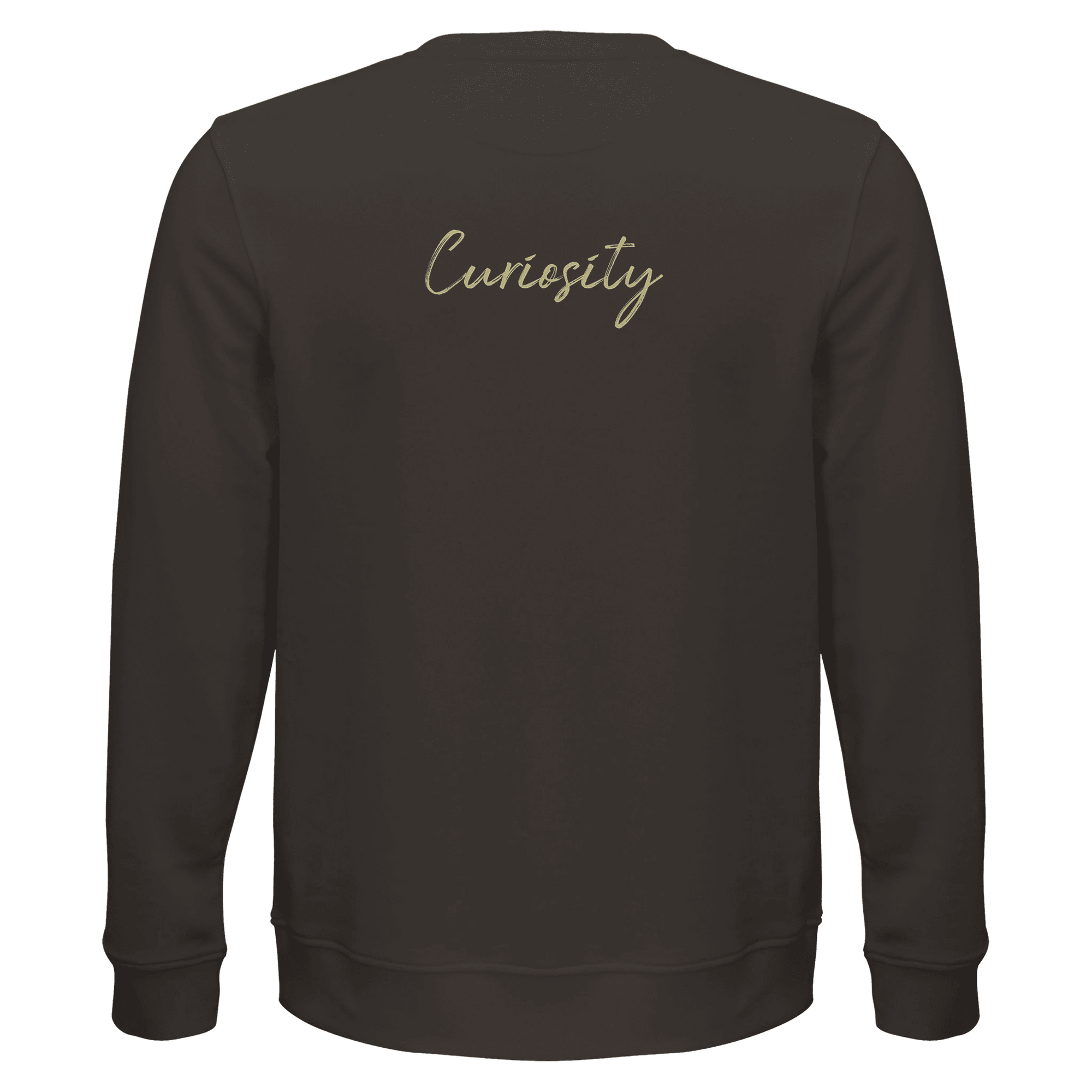 Curiosity - "On the Road" Sweatshirt deep charcoal grey XS 2