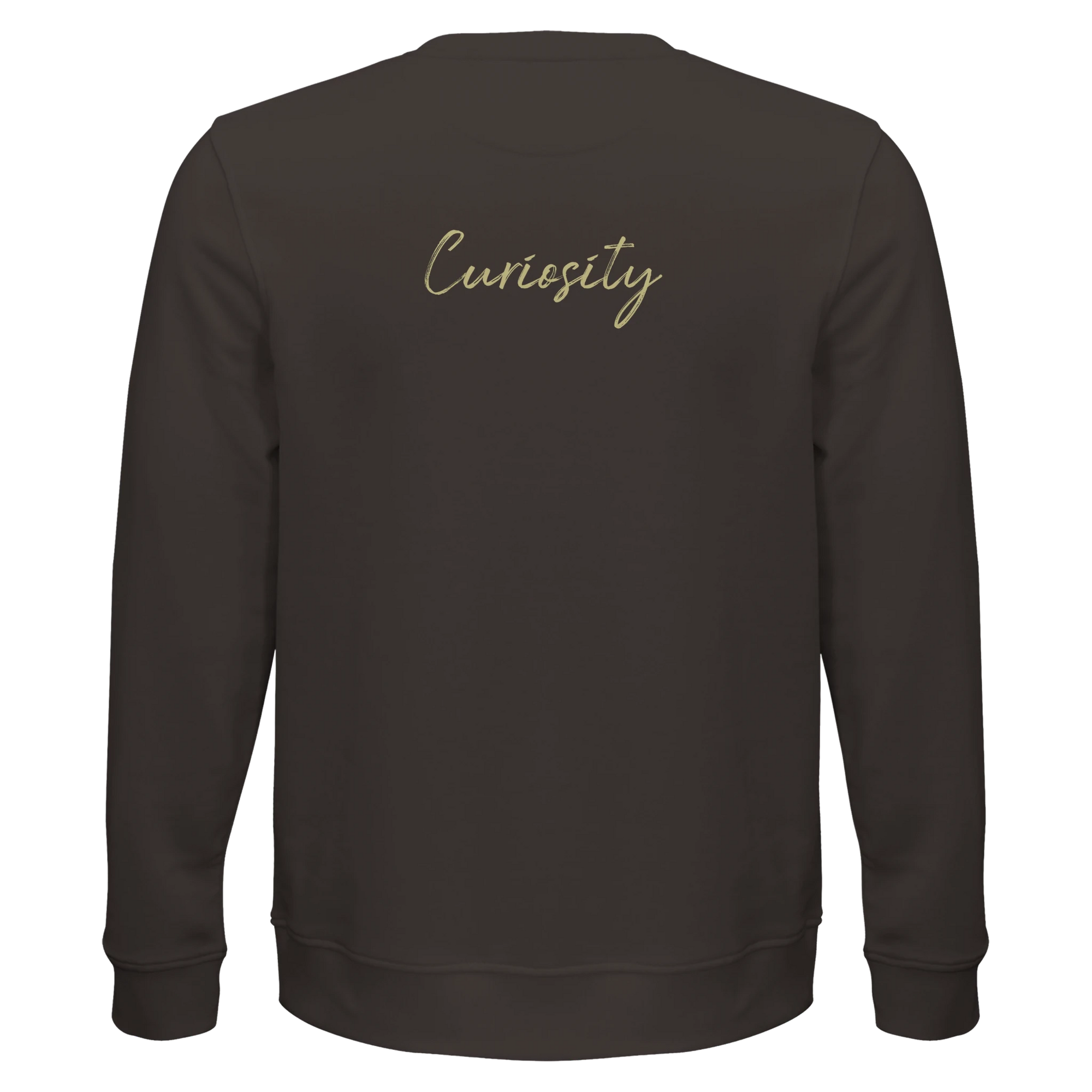 Curiosity - "On the Road" Sweatshirt deep charcoal grey XS 5
