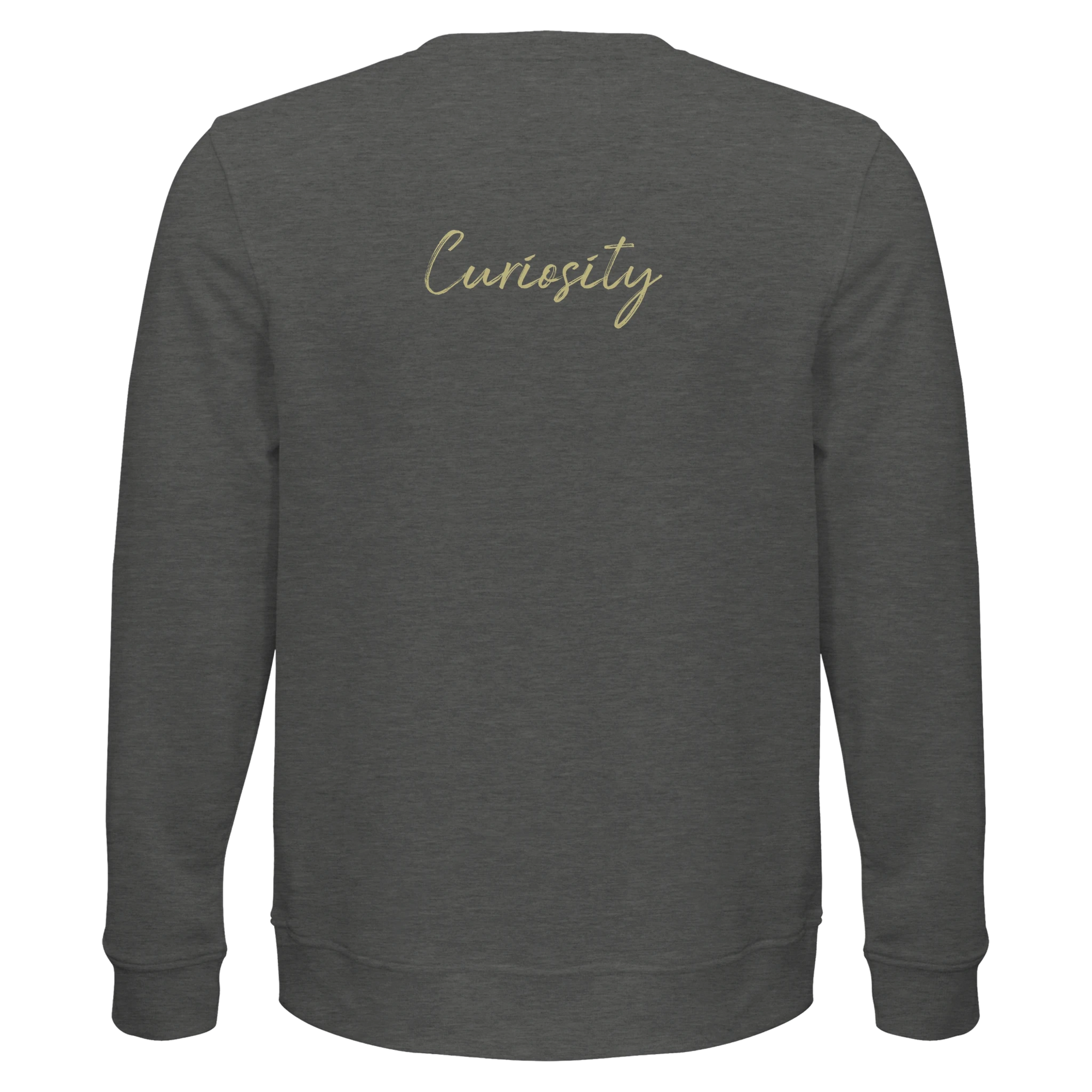 Curiosity - "On the Road" Sweatshirt Grey Melange XS 11