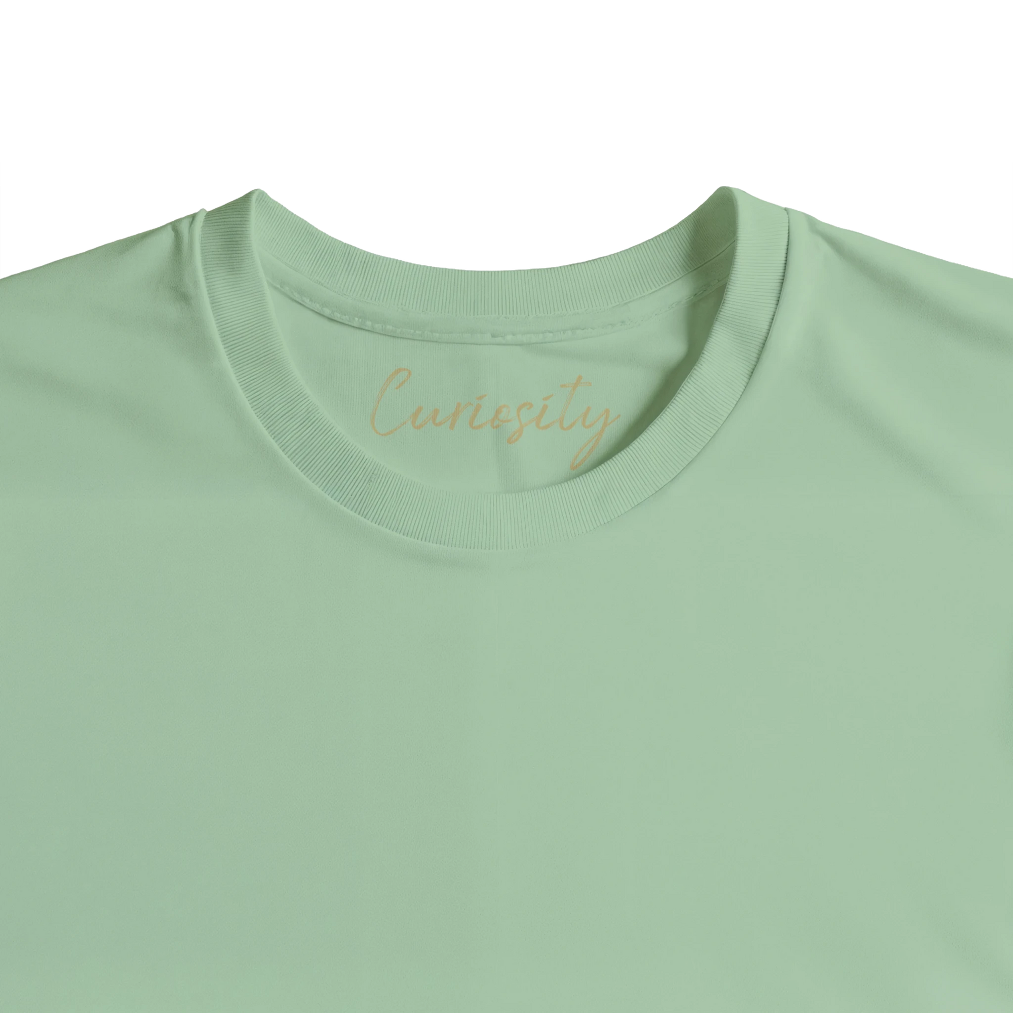 Curiosity - "On the Road" T-shirt frozen green XS 47