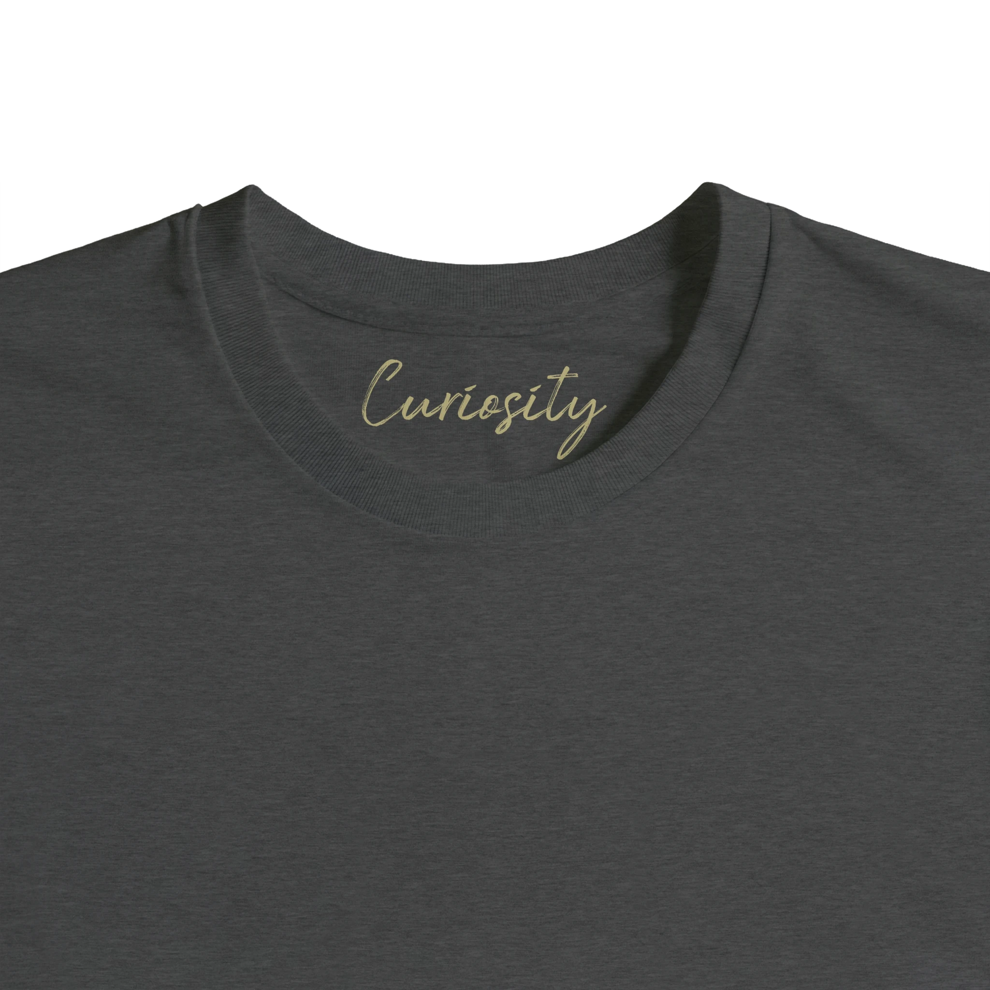 Curiosity - "On the Road" T-shirt Grey Melange XS 41