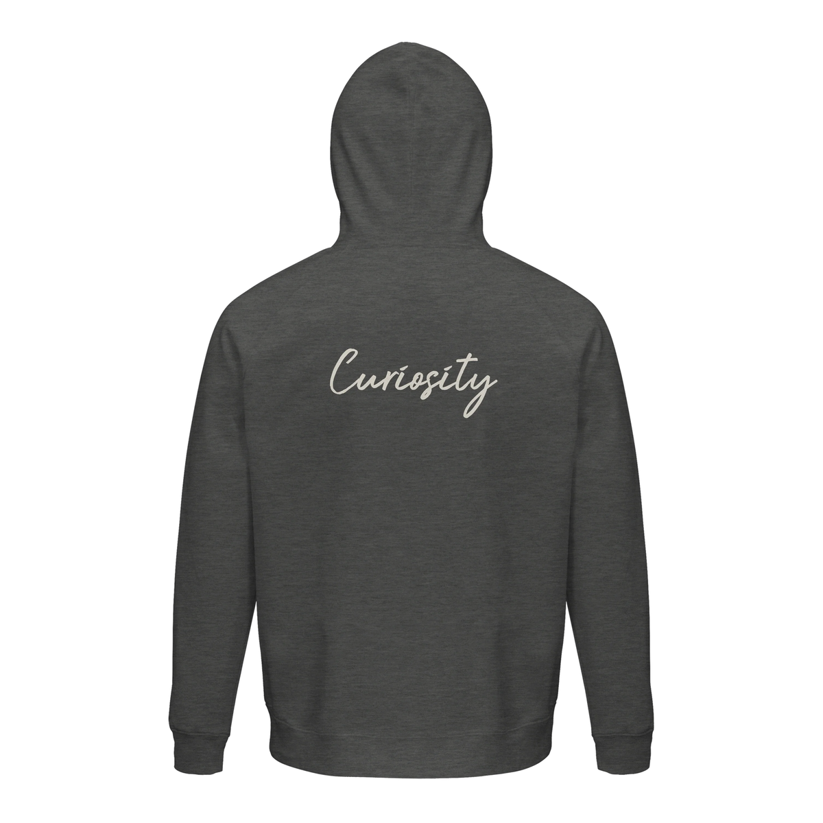 Curiosity - "On the Road" Hoodie Grey Melange 2