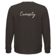 Curiosity - "On the Road" Sweatshirt deep charcoal grey 2