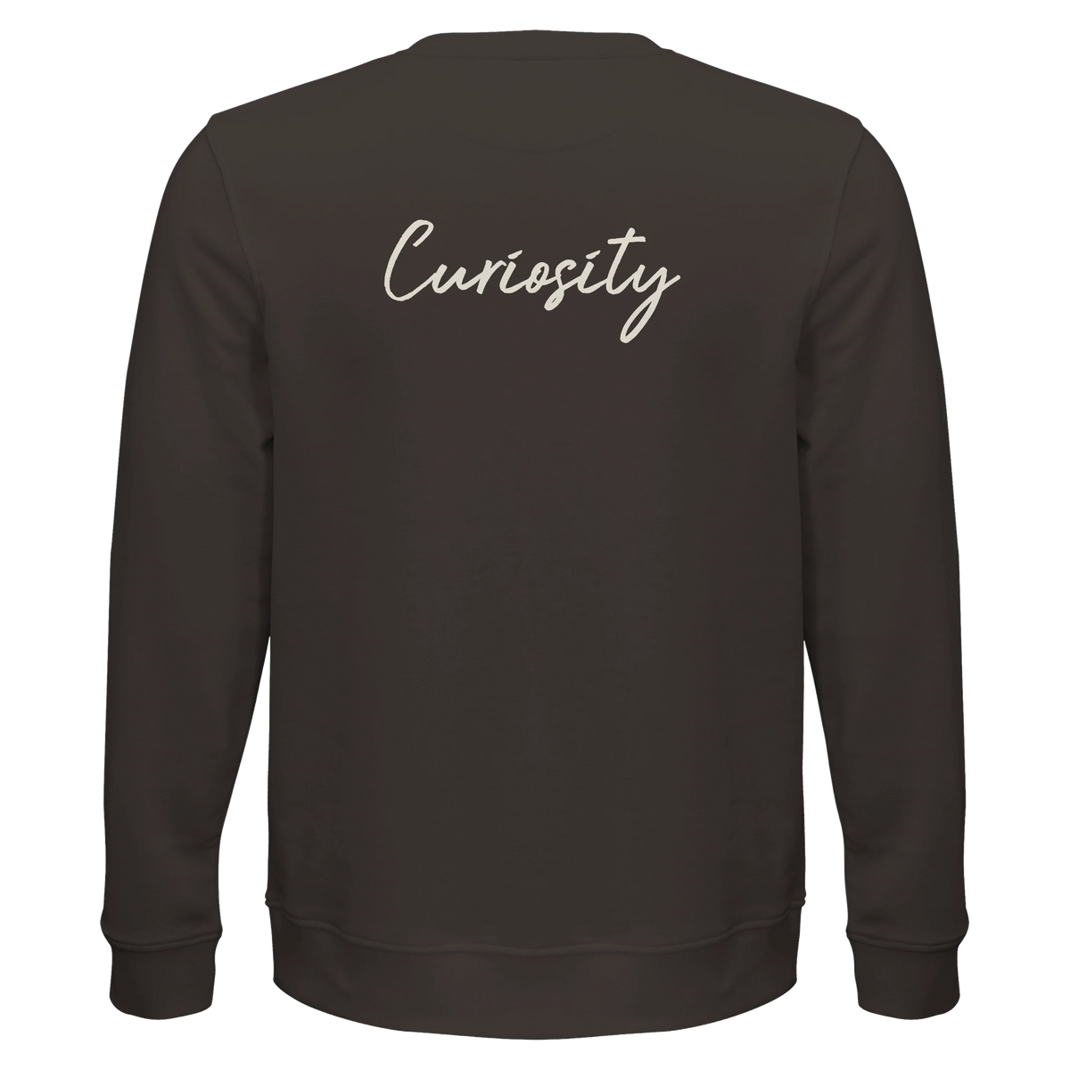 Curiosity - "On the Road" Sweatshirt deep charcoal grey 2