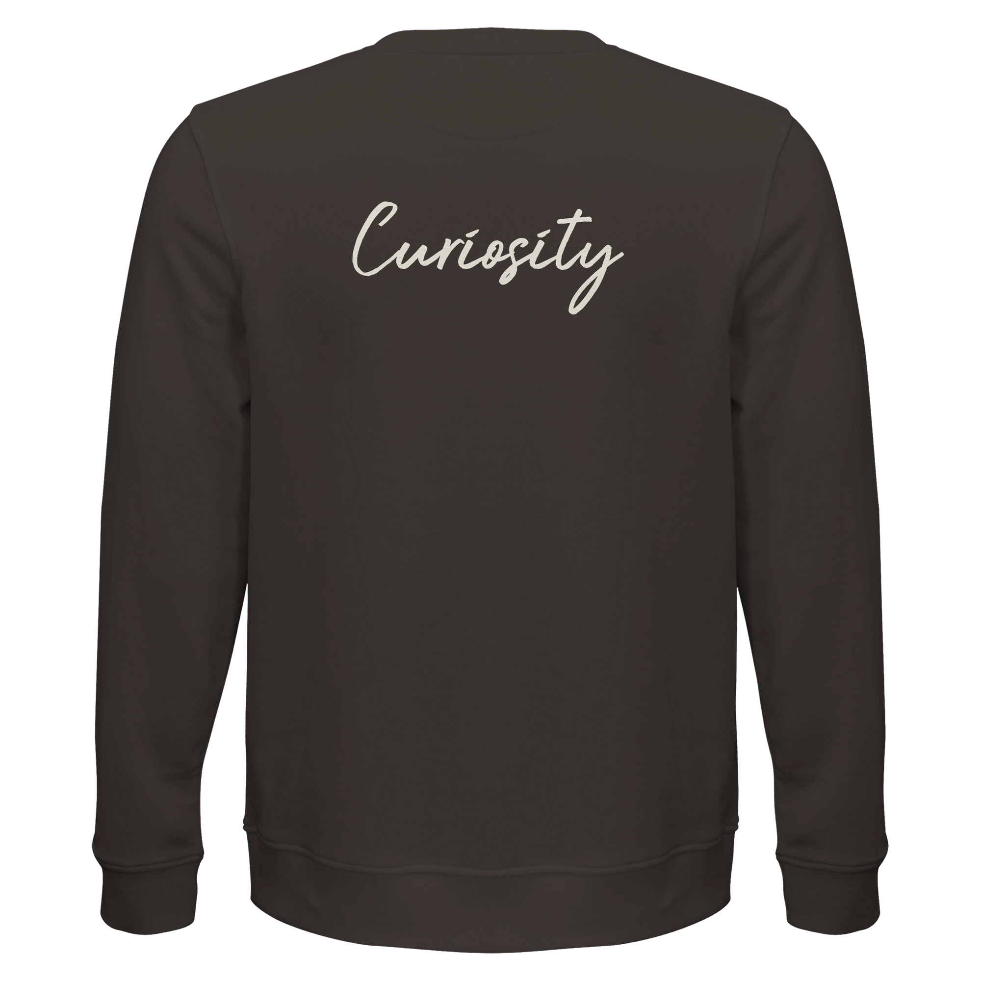 Curiosity - "On the Road" Sweatshirt deep charcoal grey 2