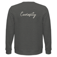 Curiosity - "On the Road" Sweatshirt Grey Melange 2