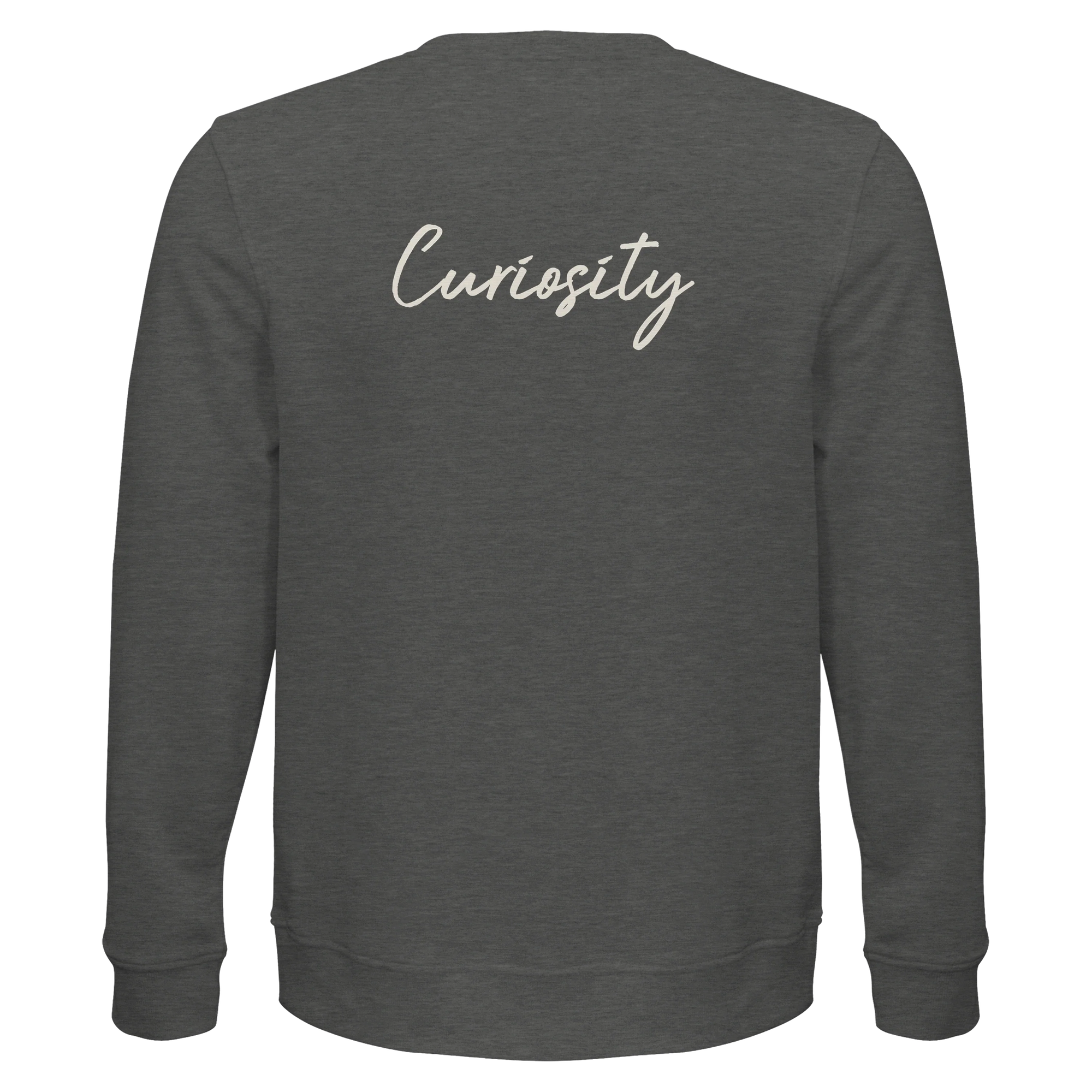 Curiosity - "On the Road" Sweatshirt Grey Melange 2