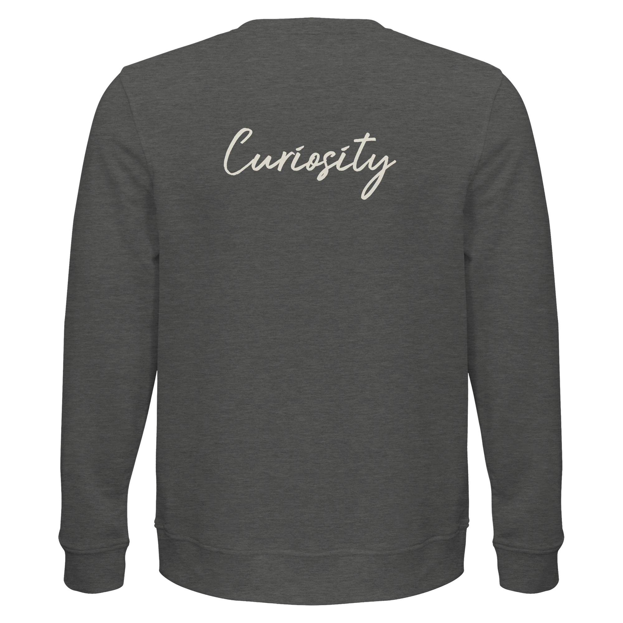 Curiosity - "On the Road" Sweatshirt Grey Melange 2