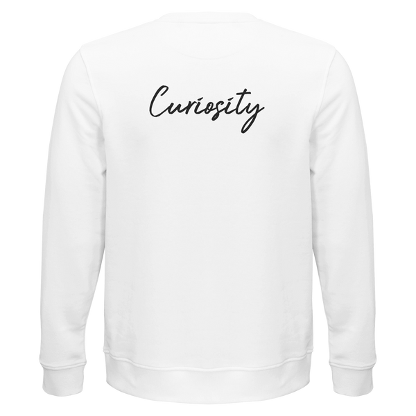Curiosity - "On the Road"