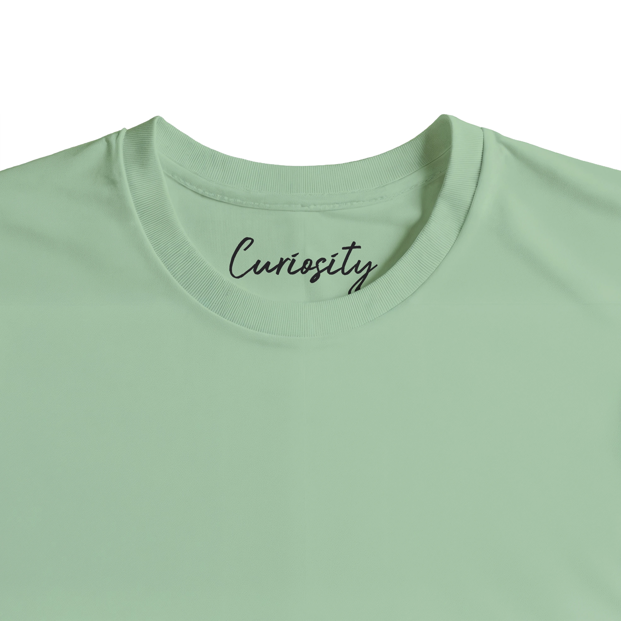 Curiosity - "On the Road" T-shirt frozen green 2