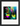 Dancing in Colours Framed print 13x18 cm / 5x7″ Black frame 42