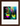 Dancing in Colours Framed print 13x18 cm / 5x7″ Dark wood frame 30