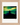Emerald Storms Framed print 15x20 cm / 6x8″ Wood frame 19