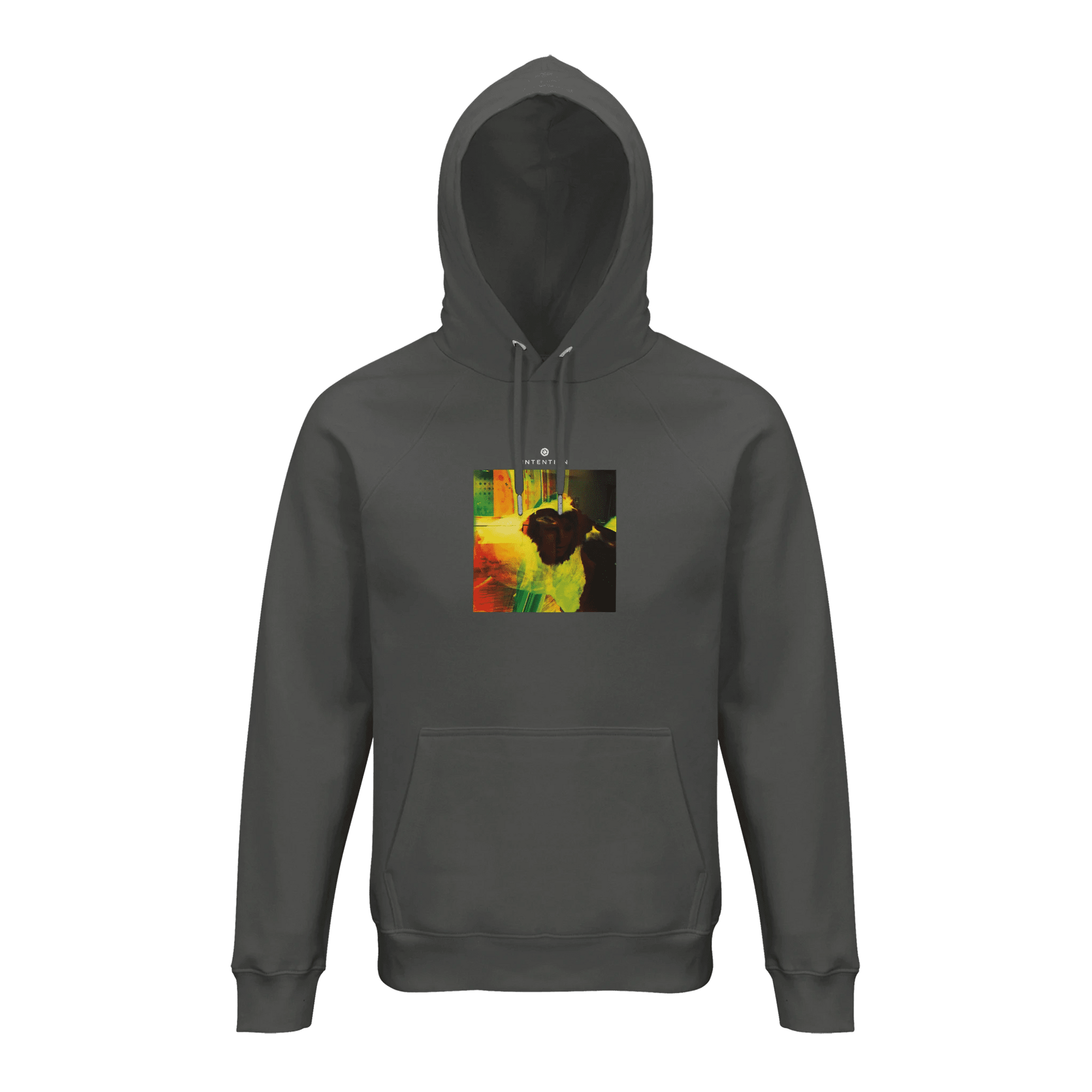 Energy  Hoodie  «In the Eye »charcoal melange 9