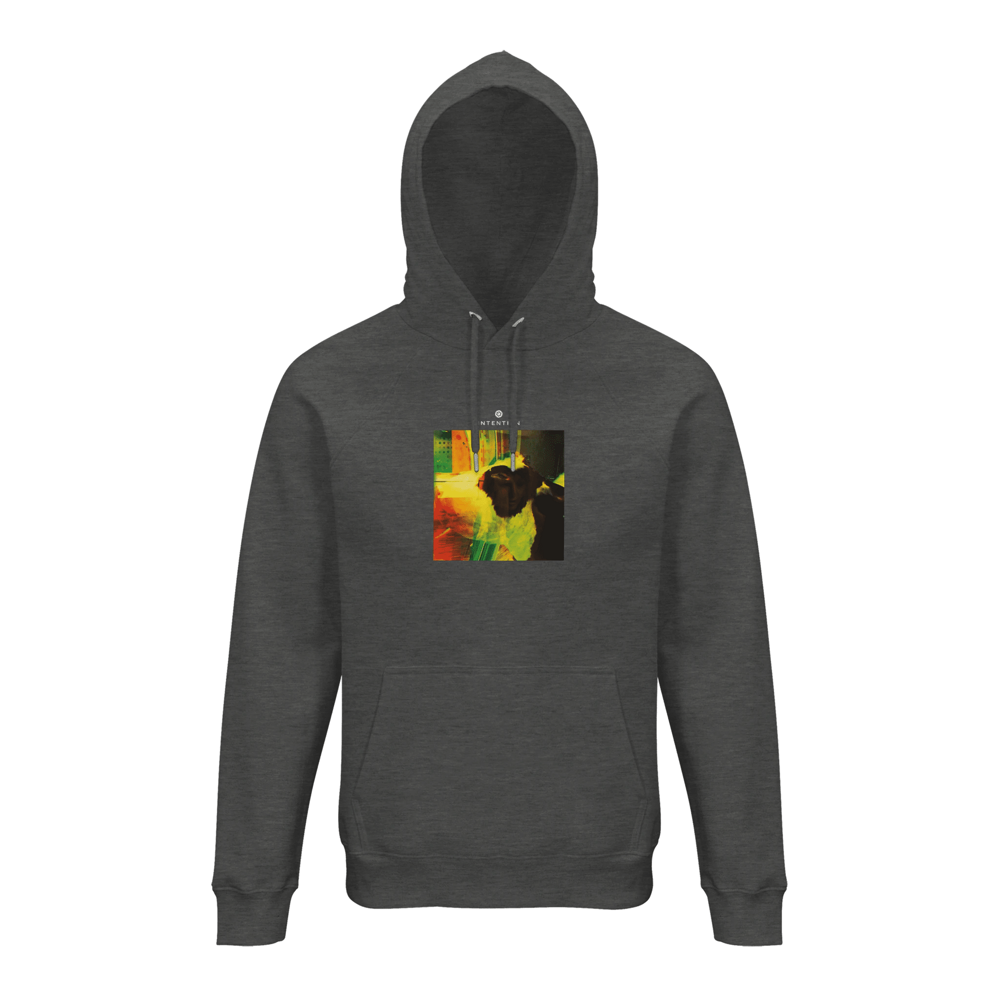 Energy  Hoodie  «In the Eye »Grey Melange 24