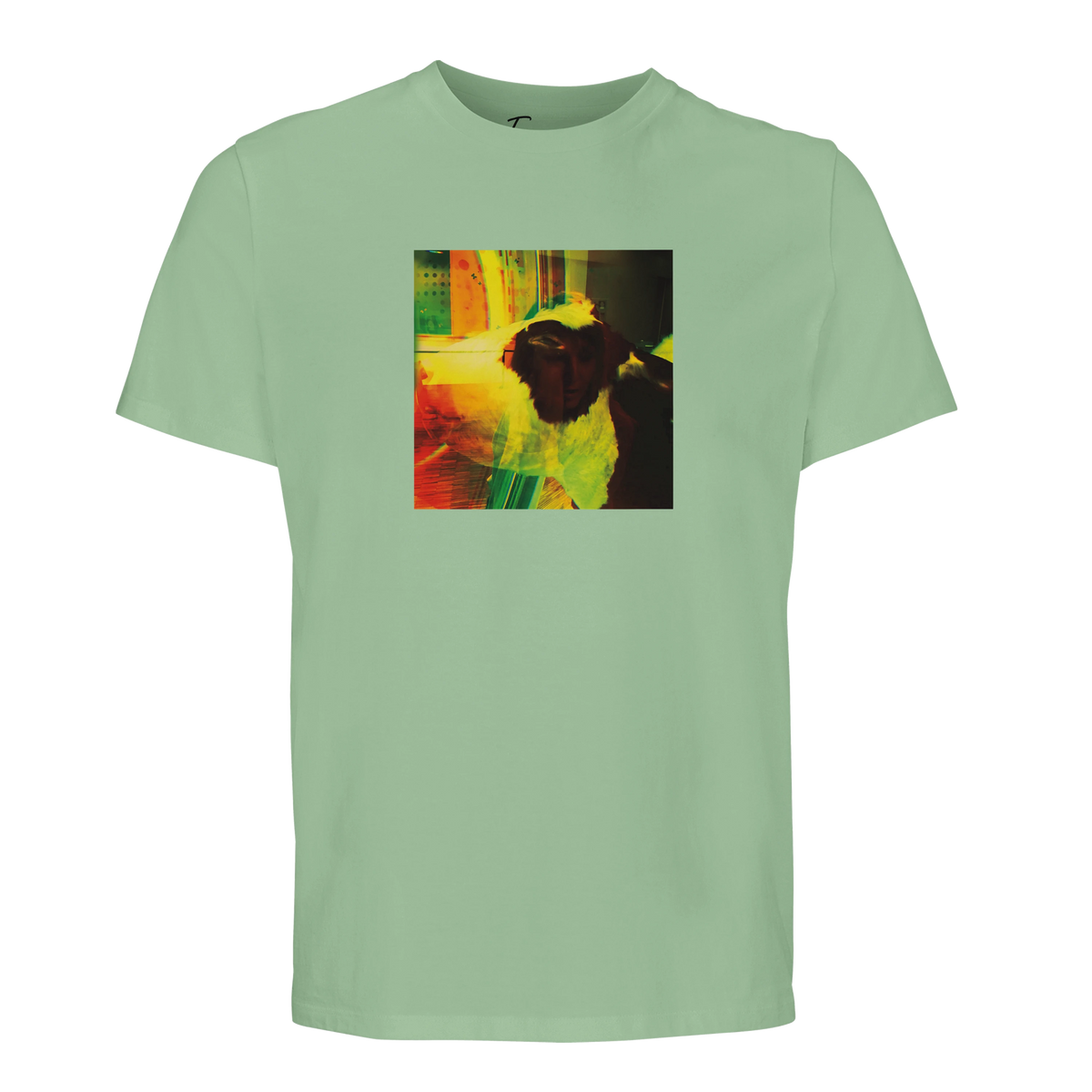 Energy - "In the Eye" T-shirt frozen green 1