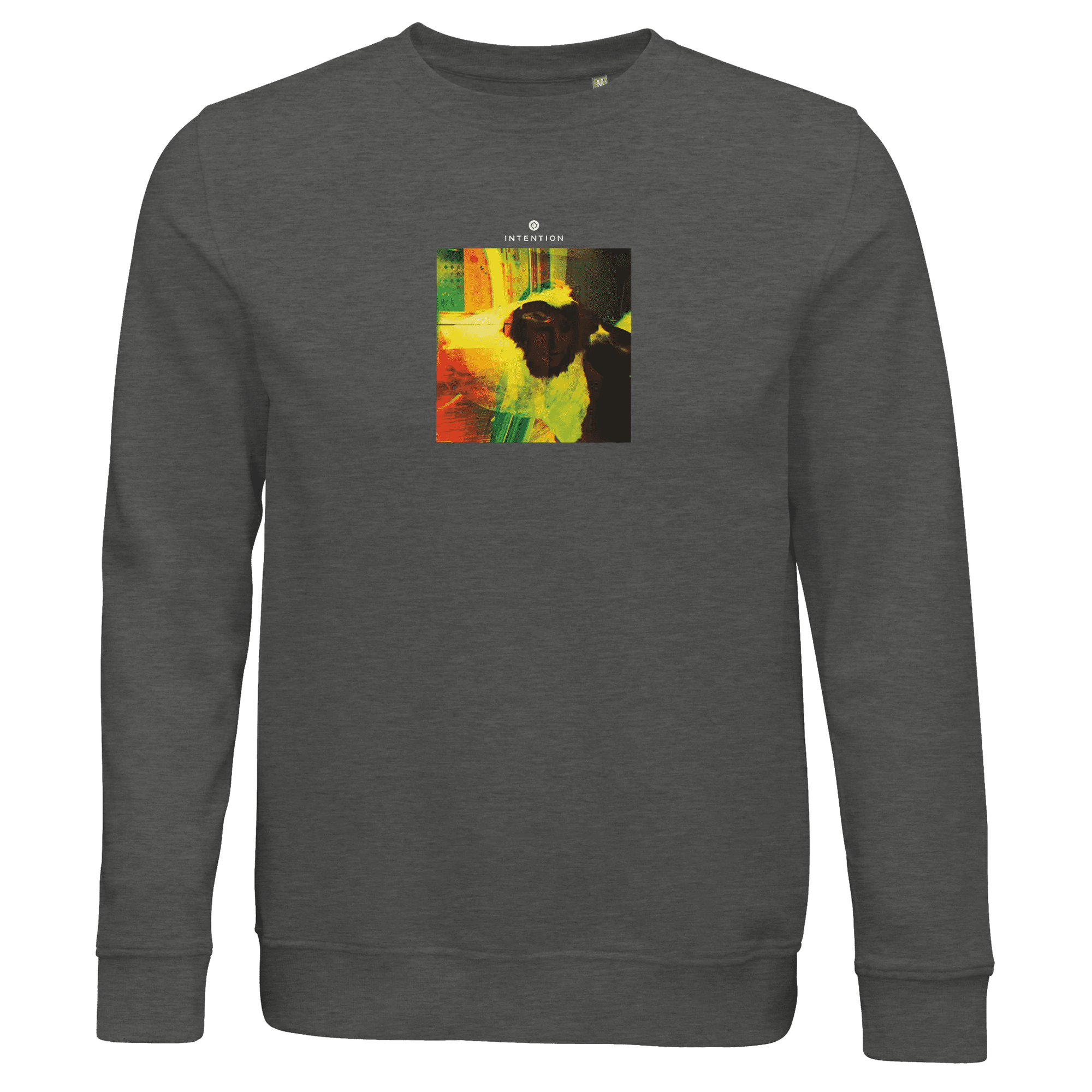 Energy  Sweatshirt  «In the Eye »Grey Melange 40