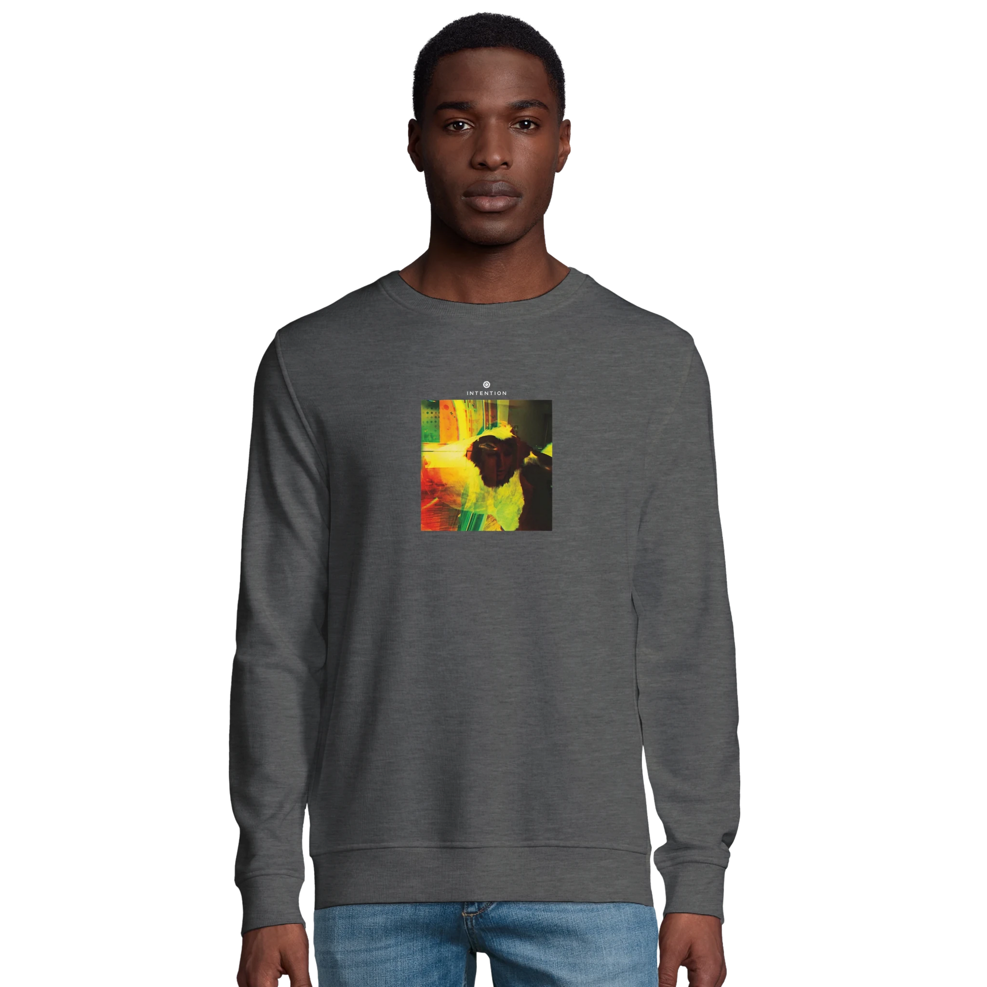 Energy  Sweatshirt  «In the Eye »Grey Melange 42