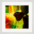 In the Eye Framed print 30x30 cm / 12x12″ White frame 8