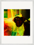 In the Eye Framed print 45x60 cm / 18x24″ White frame 11