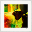 In the Eye Framed print 70x70 cm / 28x28″ White frame 14