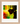 In the Eye Framed print 20x25 cm / 8x10″ Wood frame 15