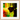 In the Eye Framed print 40x40 cm / 16x16″ Wood frame 18