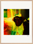 In the Eye Framed print 60x80 cm / 24x32″ Wood frame 22