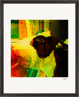 In the Eye Framed print 40x50 cm / 16x20″ Black frame 28