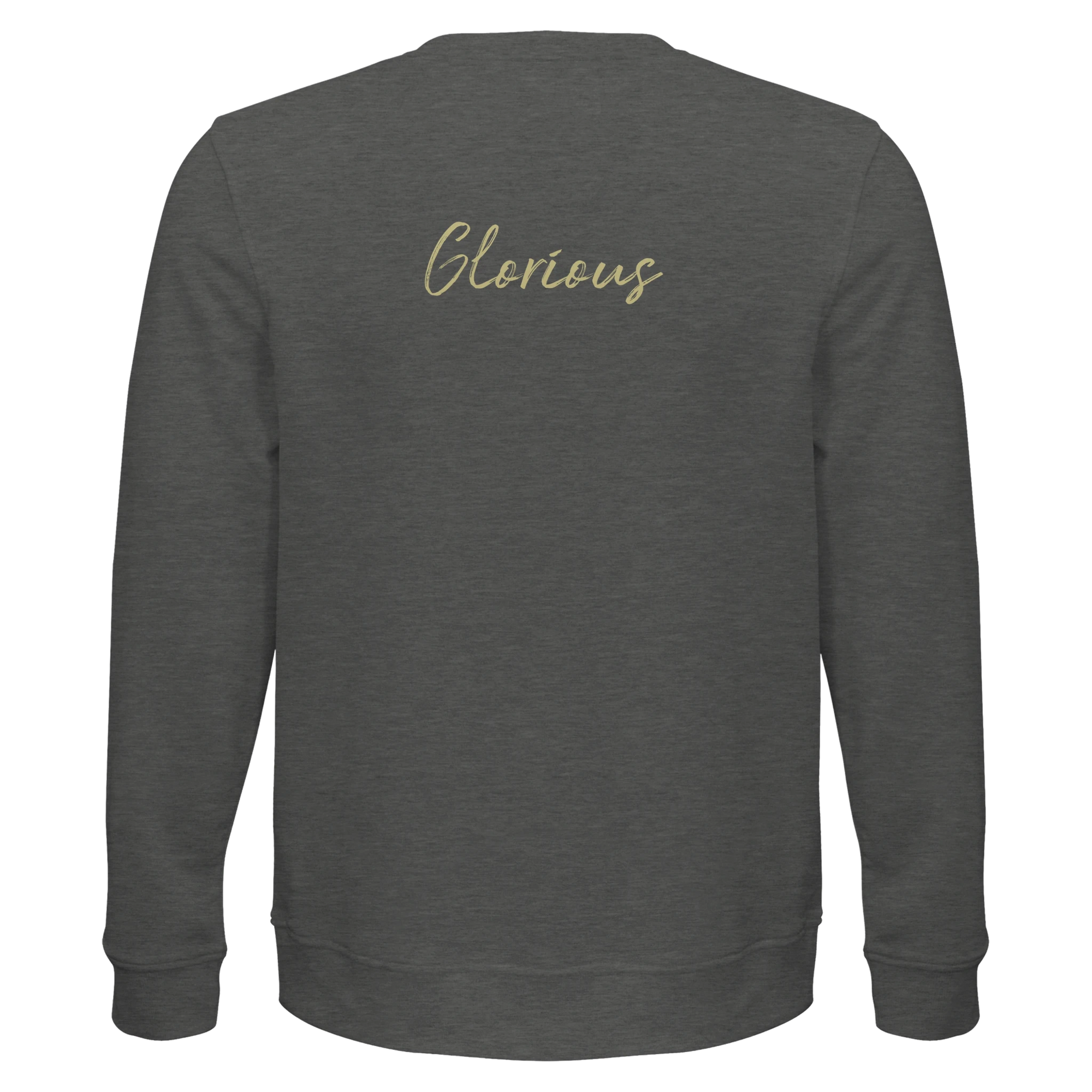 Glorious - "Blast Off" Sweatshirt Grey Melange XS 11