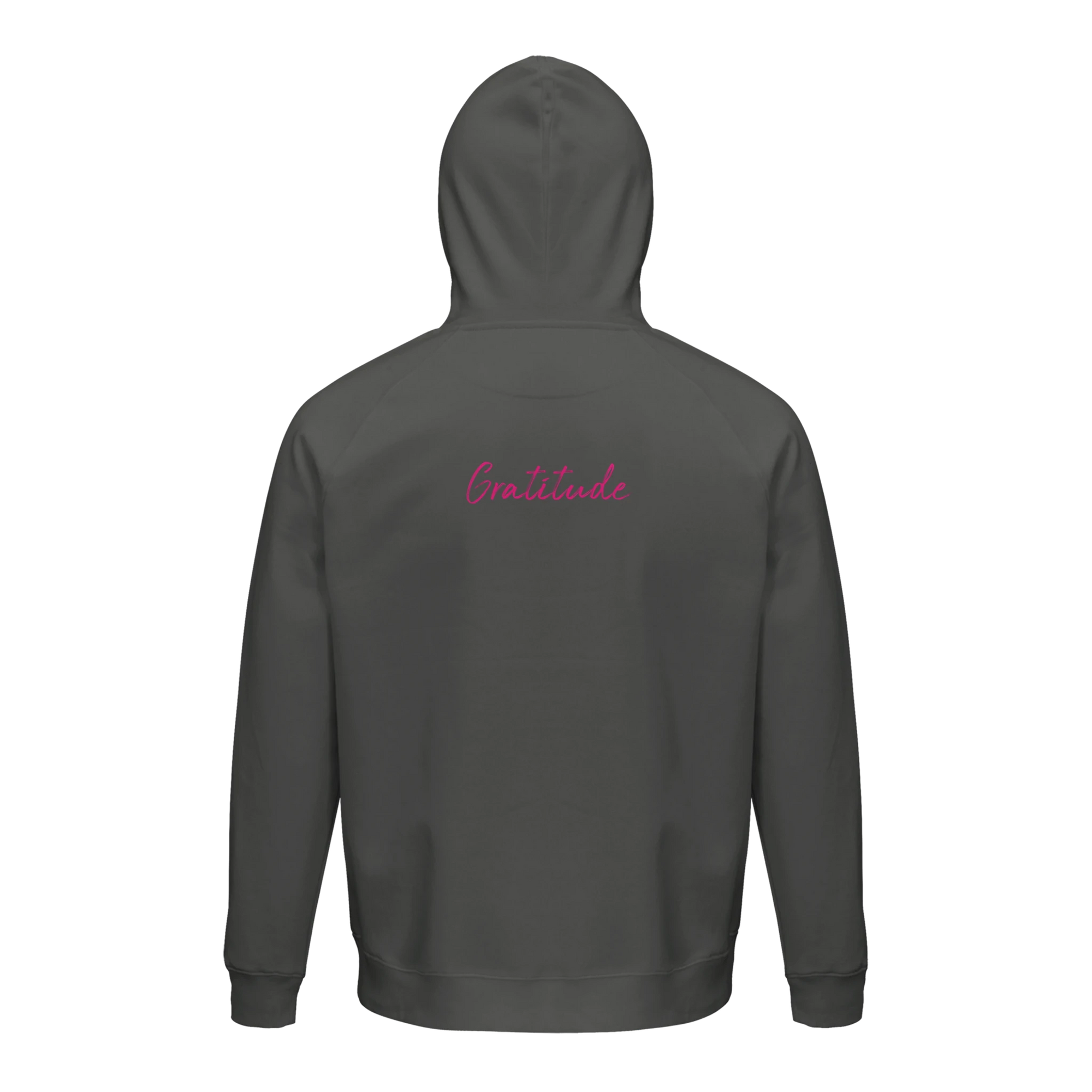 Gratitude - "Bubbles and Sky Sticks" Hoodie charcoal melange XS 25