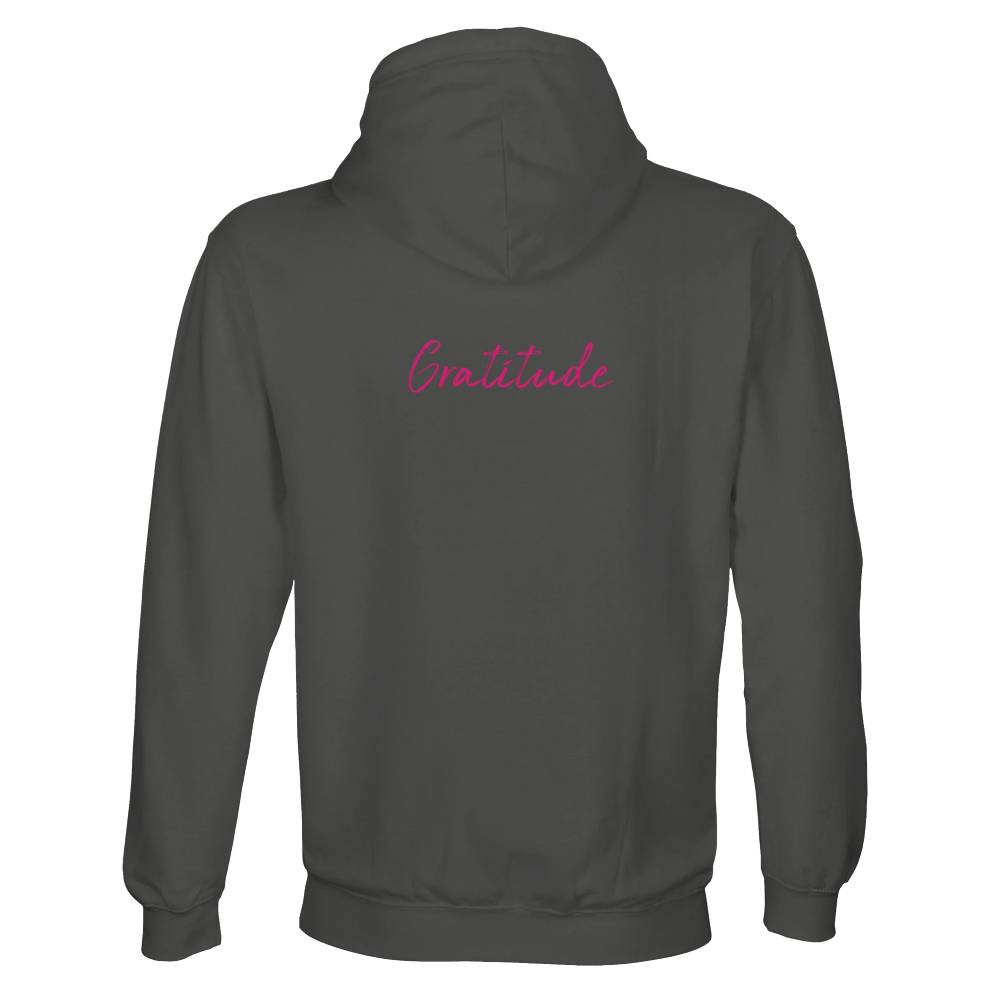 Gratitude - "Bubbles and Sky Sticks" Hoodie charcoal melange XS 35