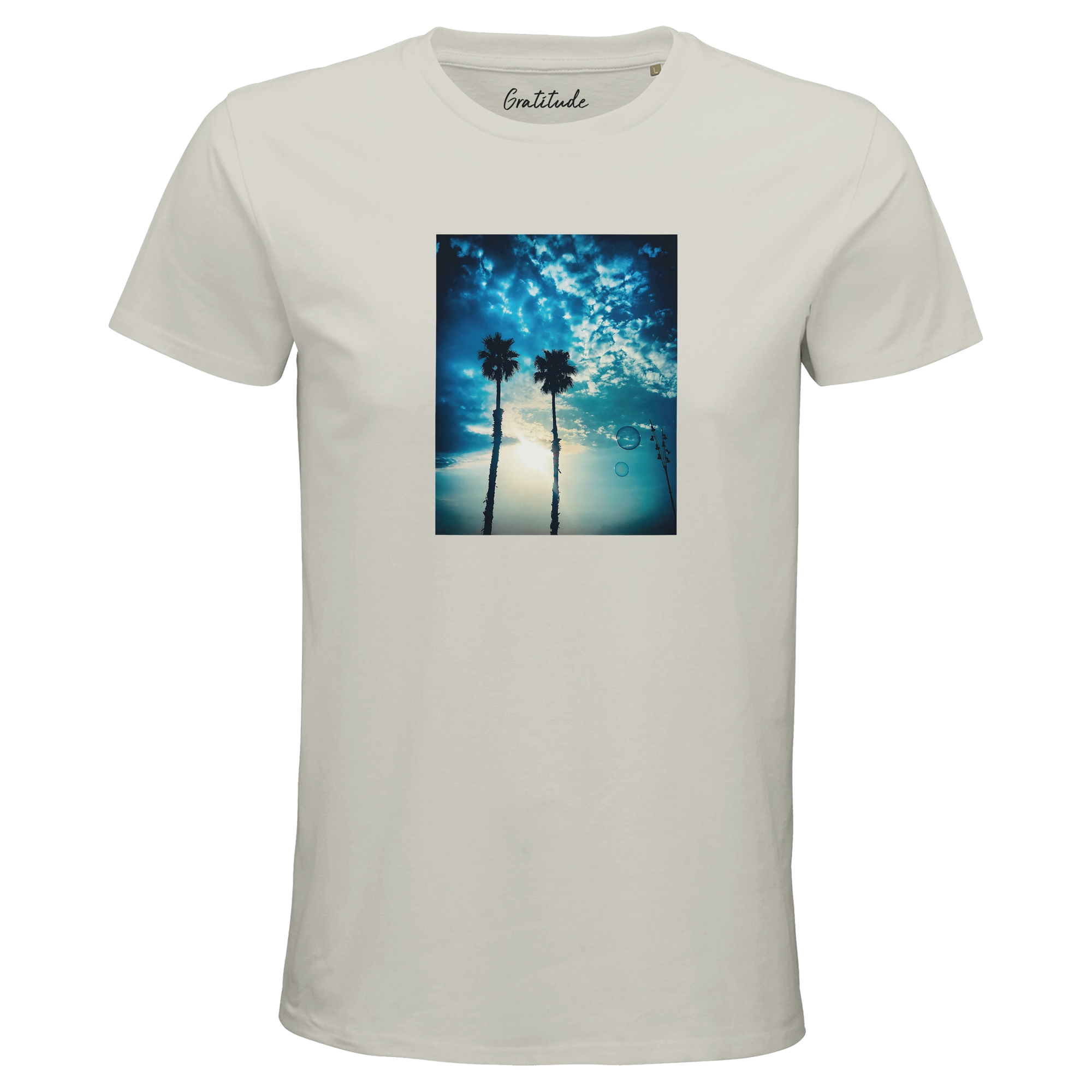 Gratitude - "Bubbles and Sky Sticks" T-shirt Ash 3