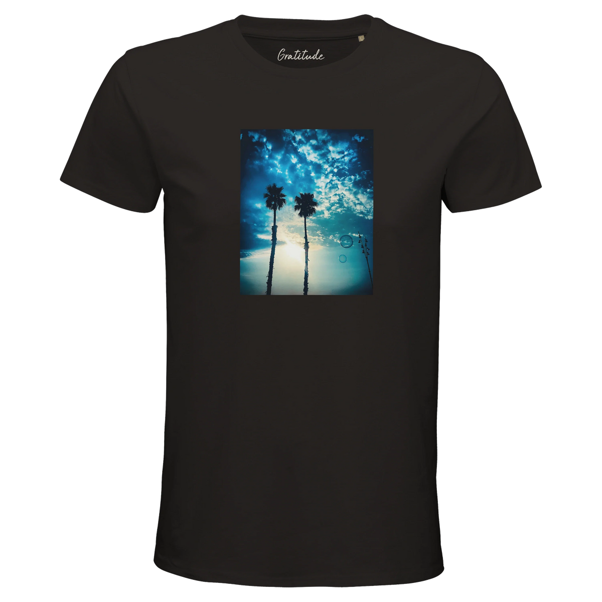 Gratitude - "Bubbles and Sky Sticks" T-shirt Deep Black 3