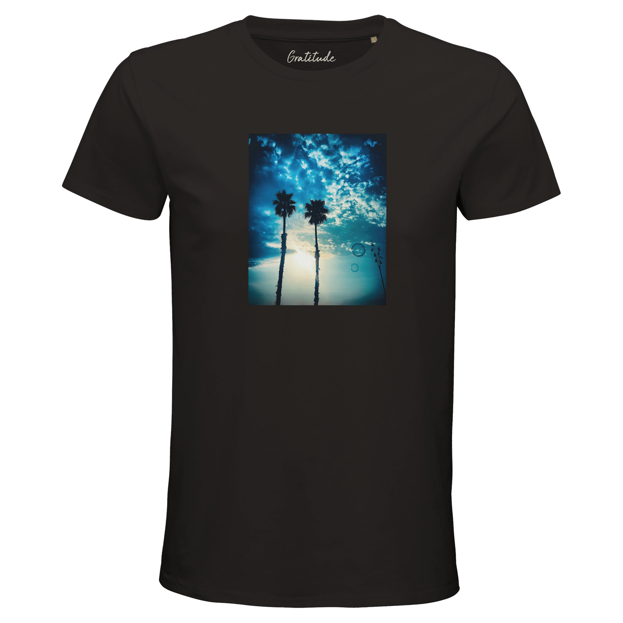 Gratitude - "Bubbles and Sky Sticks" T-shirt Deep Black 3