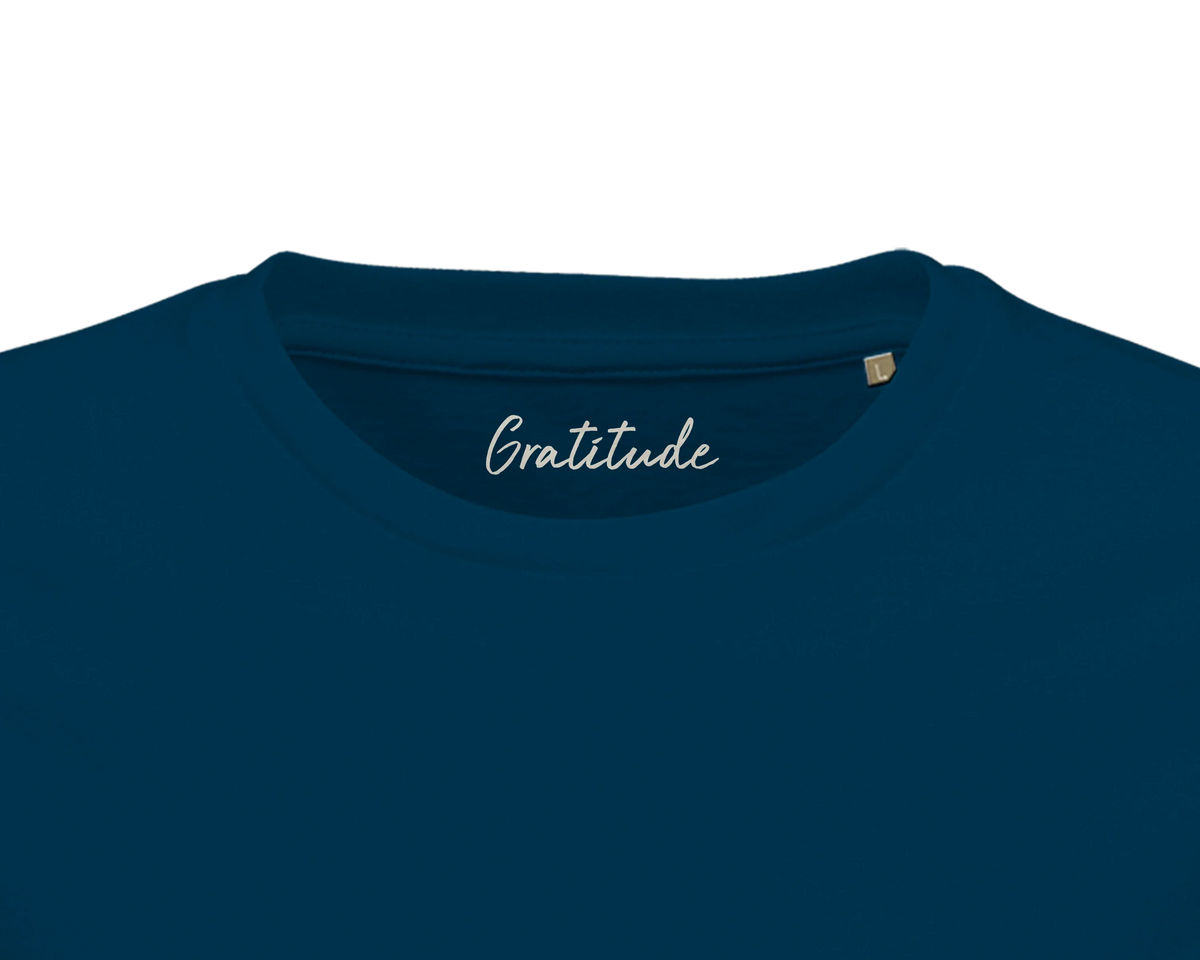 Gratitude - "Bubbles and Sky Sticks" T-shirt denim 2