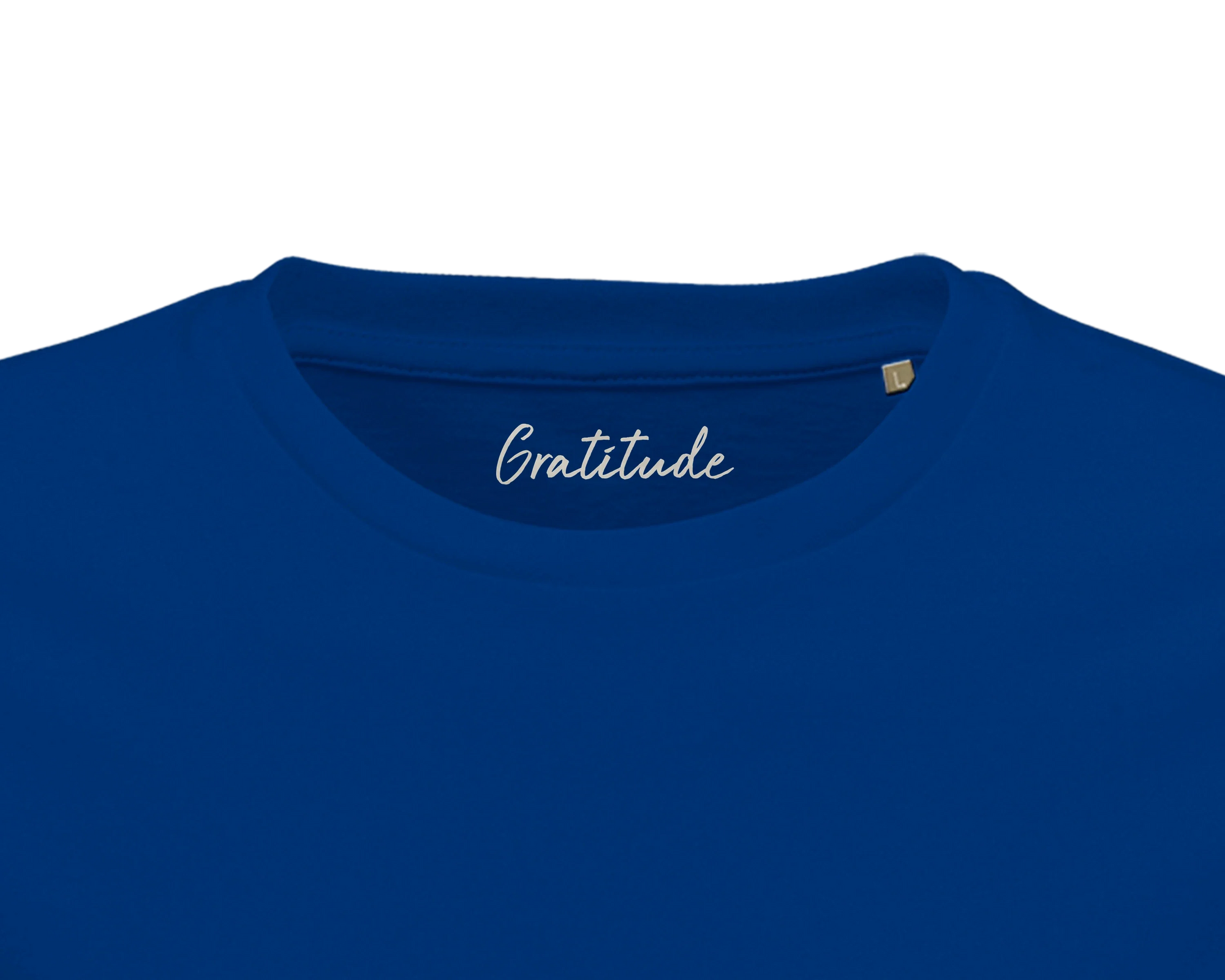 Gratitude - "Bubbles and Sky Sticks" T-shirt Royal Blue 2