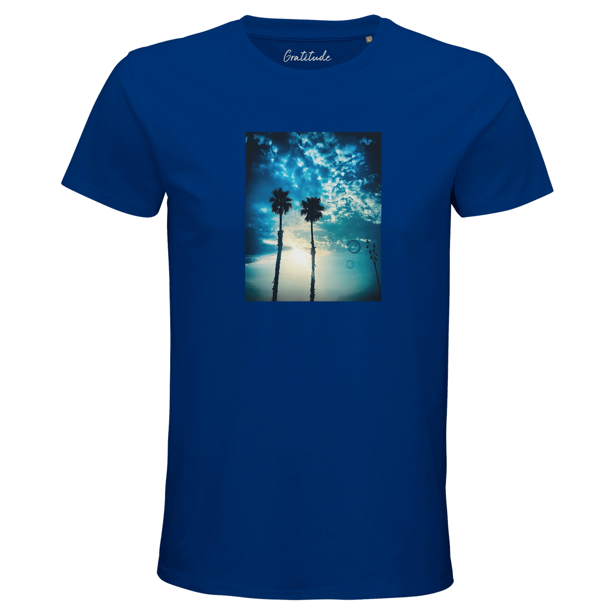 Gratitude - "Bubbles and Sky Sticks" T-shirt Royal Blue 3