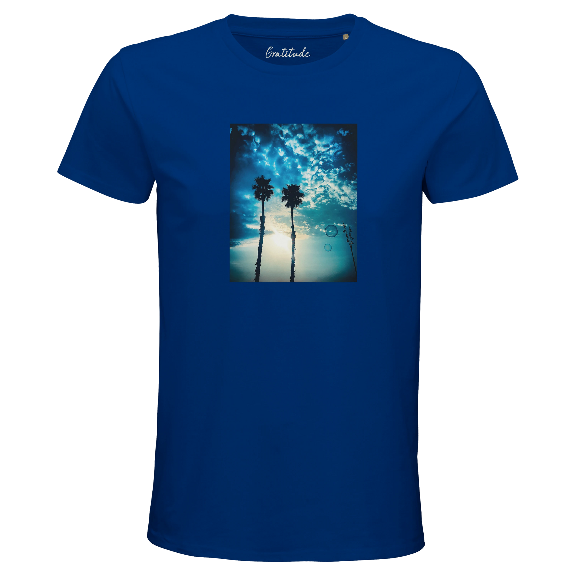 Gratitude - "Bubbles and Sky Sticks" T-shirt Royal Blue 3